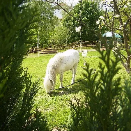 Apartamento U Josefa