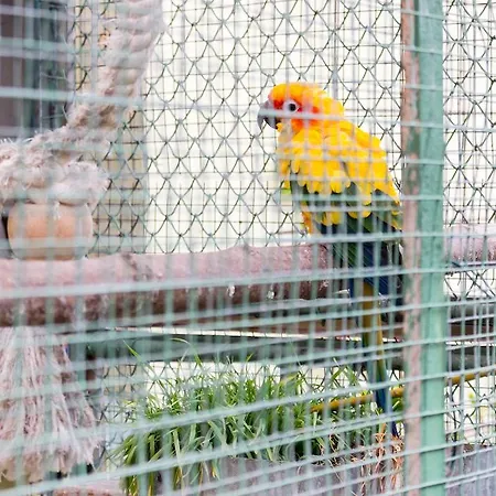 U Josefa Apartamento *